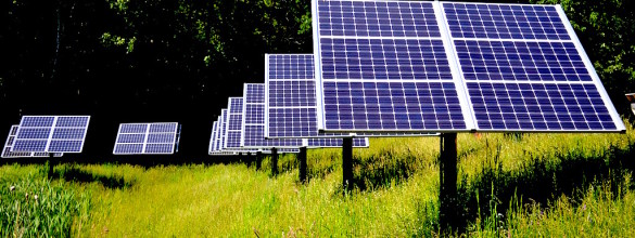 Huertas solares comunitarias un negocio que promete